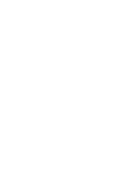 SV Werder Bremen